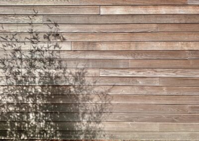 Bamboo shadows on the Studio wall